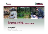 Ökopunkte im Wald - Landesforstverein Sachsen-Anhalt eV