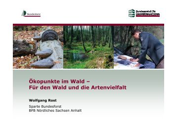 Ökopunkte im Wald - Landesforstverein Sachsen-Anhalt eV