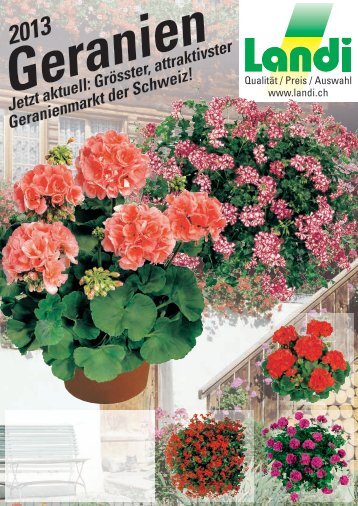 Geranien 2013 (pdf / 3174 KB) - LANDI Jungfrau AG