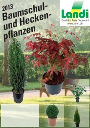 Baumschul- und Hecken- pflanzen - LANDI Jungfrau AG