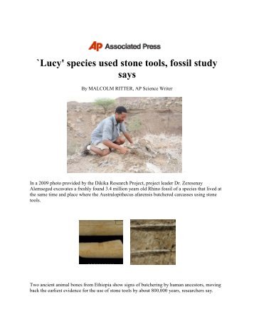 `Lucy' species used stone tools, fossil study says - Landis ...