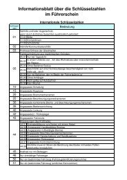 Informationsblatt über die Schlüsselzahlen im Führerschein