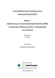 Identifizierung von naturschutzwürdigen Bereichen (NWB)