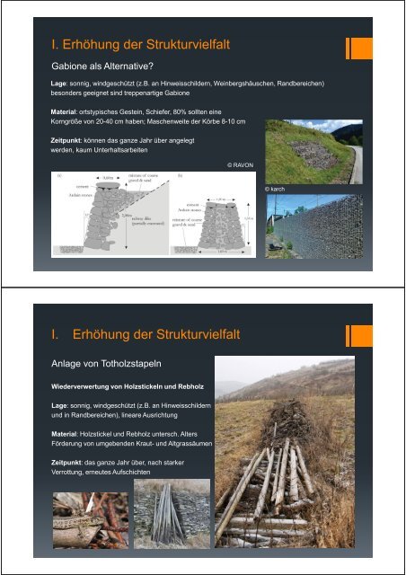 (Microsoft PowerPoint - DLR Mosel Reptilienschutz im Weinberg ...