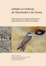 Leitfaden zur Förderung der Uferschwalbe in der Schweiz - Stiftung ...