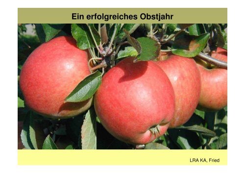 Pflanzenschutz im Bio-Streuobst 2009