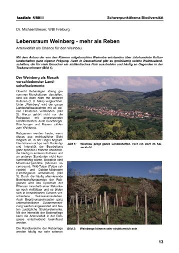 Lebensraum Weinberg - Infodienst - Landwirtschaft, Ernährung ...