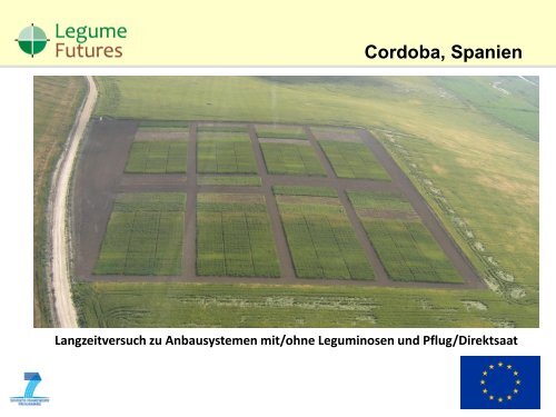 Leguminosen-gestützte Anbausysteme für Europa