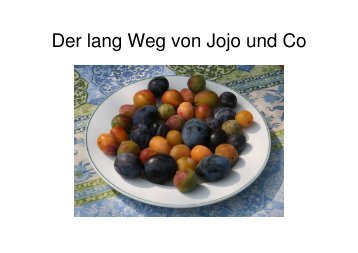 Der lang Weg von Jojo und Co