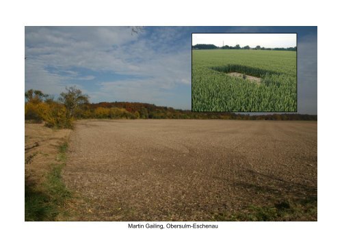 Die BiodiversitÃ¤t im Ackerbau eines Praxisbetriebes Wir Landwirte ...