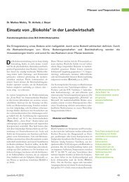 Einsatz von „Biokohle