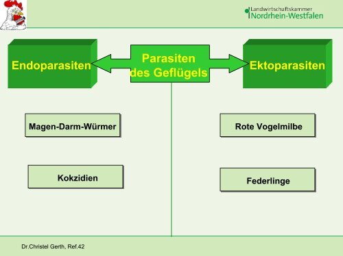 Parasiten beim Geflügel