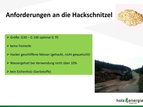 Walter Schätzel, Holzenergie Wegscheid