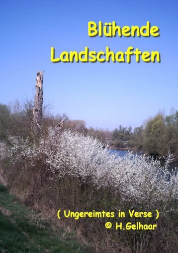 Blühende Landschaften 