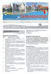 Sitzung des Gemeinderates Vollzug der Wassergesetze