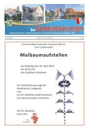 Maibaumaufstellen - Langweid am Lech