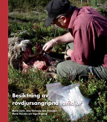 Besiktning av rovdjursangripna tamdjur - Länsstyrelserna