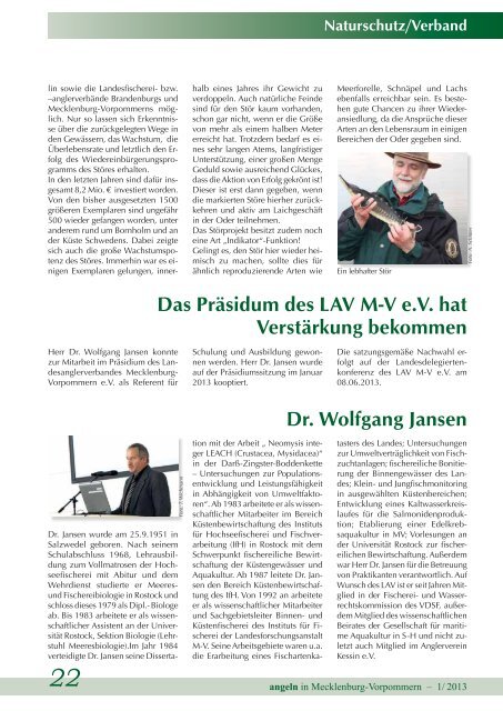 Ausgabe 1-2013 - Landesanglerverband Mecklenburg-Vorpommern ...