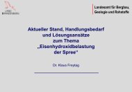 Vortrag IHK Wasserqualität Spree.pdf - LBGR - Brandenburg.de