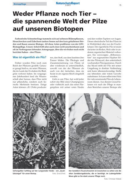 â€¢ Naturnaher Garten â€¢ Interview: Baumschutz â€¢ Alle ... - LBV MÃ¼nchen