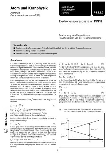 P6.2.6.2 - LD DIDACTIC