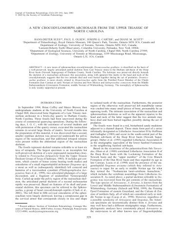 download a .pdf of this paper (4.9 MB). - Lamont-Doherty Earth ...