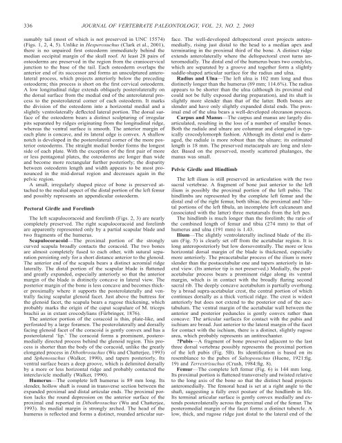 download a .pdf of this paper (4.9 MB). - Lamont-Doherty Earth ...