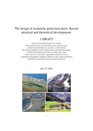 The design of avalanche protection dams. Recent practical and ...