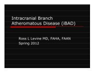 Intracranial Branch Atheromatous Disease (iBAD)