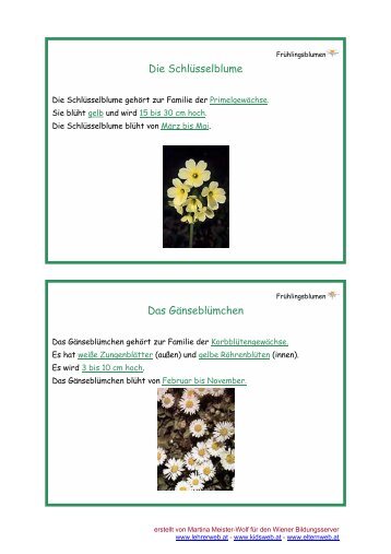 Frühlingsblumen - Lehrerweb.at