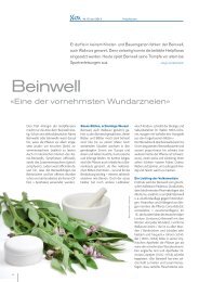 Beinwell. «Eine der vornehmsten Wundarzneien. - lendenmann.org