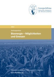„Bioenergie – Möglichkeiten und Grenzen“ 2013 (Pdf) - Leopoldina