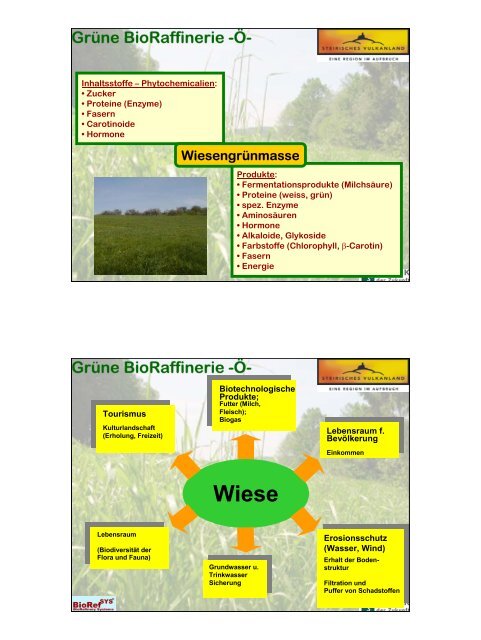 B_o Referat Bioraffinerie-Kromus.pdf