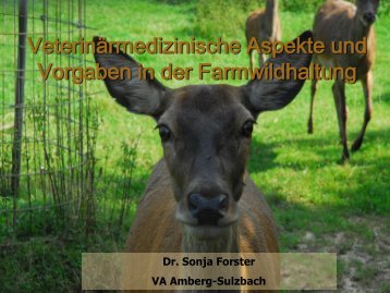 Unterlagen Fr. Dr. Forster - Bayerische Landesanstalt für ...