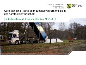 Einsatz von Branntkalk in der Karpfenteichwirtschaft (Dr ... - Bayern