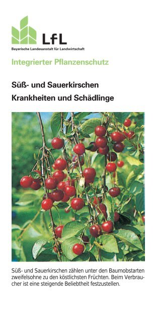 Süß- und Sauerkirschen - Bayerische Landesanstalt für Landwirtschaft