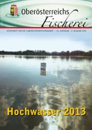 Ausgabe 2/2013 - Oberösterreichischer Landesfischereiverband