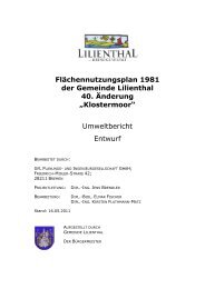 Umweltbericht - Lilienthal