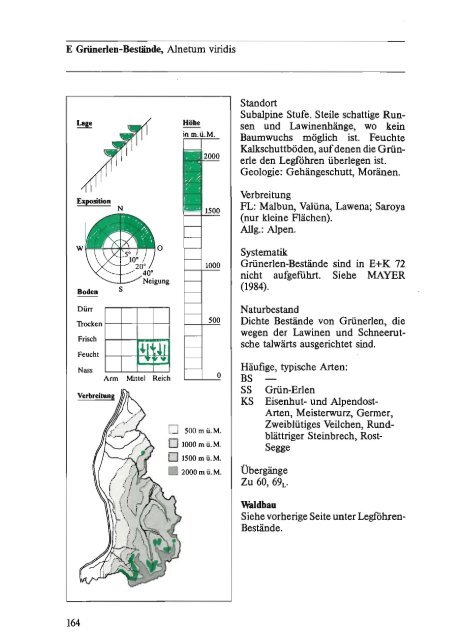 Die Wald