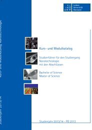 Kurs- und Modulkatalog Nanotechnologie 2013/14 - LNQE - Leibniz ...