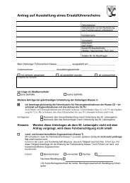 Antrag auf Ersatzführerschein als PDF-Datei