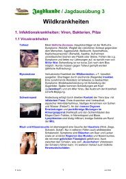 Katalog der Wildkrankheiten