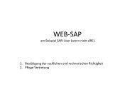 WEB-SAP SARI-User