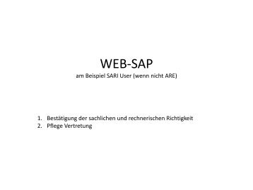 WEB-SAP SARI-User