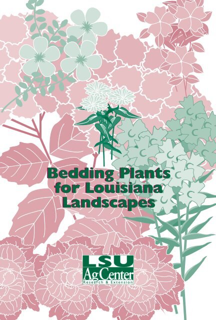 Bedding Plants For Louisiana Landscapes - The LSU AgCenter