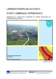 Bericht - Stadt Lübbenau/Spreewald