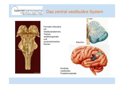 WS 4 Peripherer Schwindel