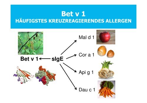 NAHRUNGSMITTEL-ALLERGIE