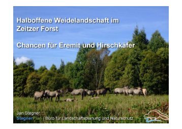 Vortrag: "Beweidungsprojekt Zeitzer Forst (Sachsen)"