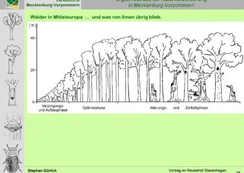 Vortrag - Mecklenburg-Vorpommern